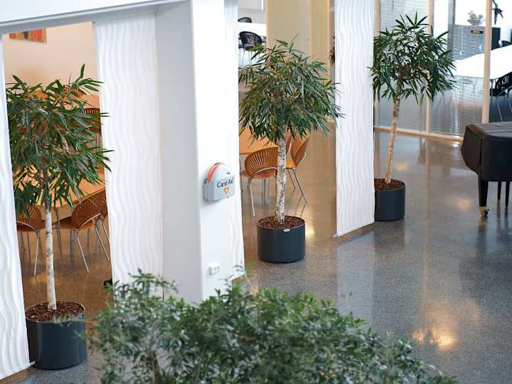 Cover image for Case: Cardia Nordic | IT Instituttet