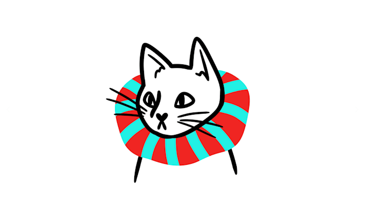 Cover image for Birds-Eye Cat Collars Logo