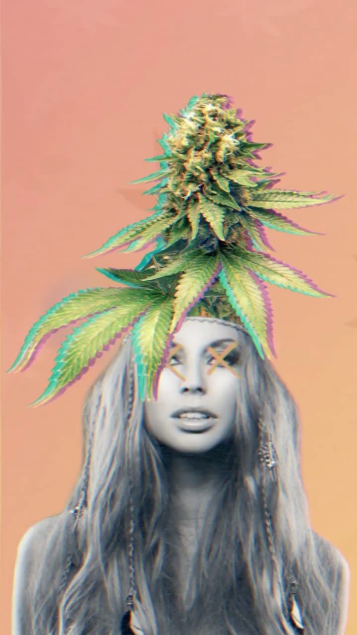 Cover image for 4/20 Cannabis Equity Reel