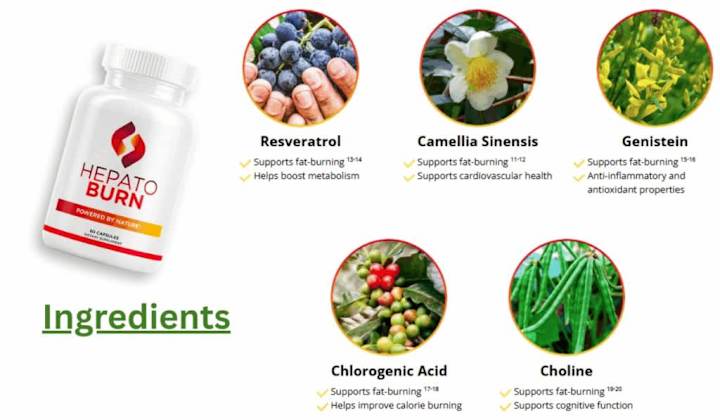 Cover image for HEPATOBURN : (STEP-BY-STEP RECIPE) - WHAT IS THE HEPATOBURN?