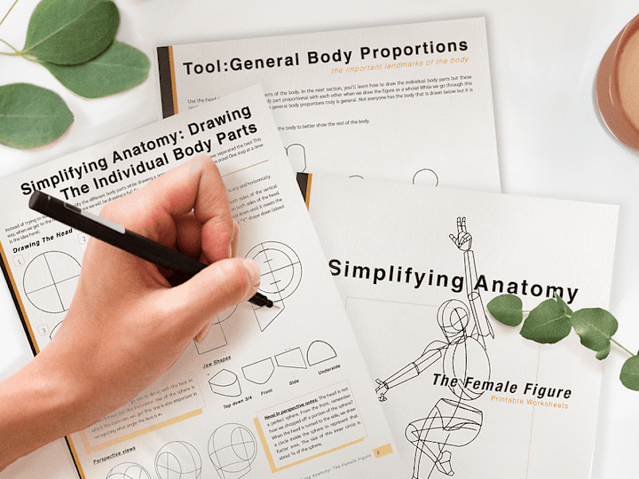 Cover image for Simplifying Anatomy - Printable Worksheet