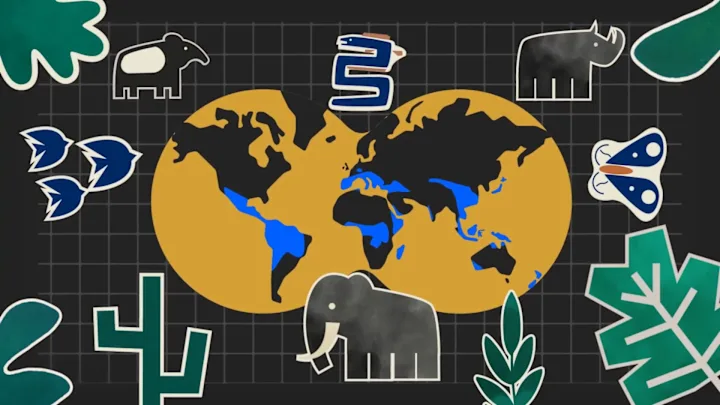 Cover image for Exploring the links between language and nature 