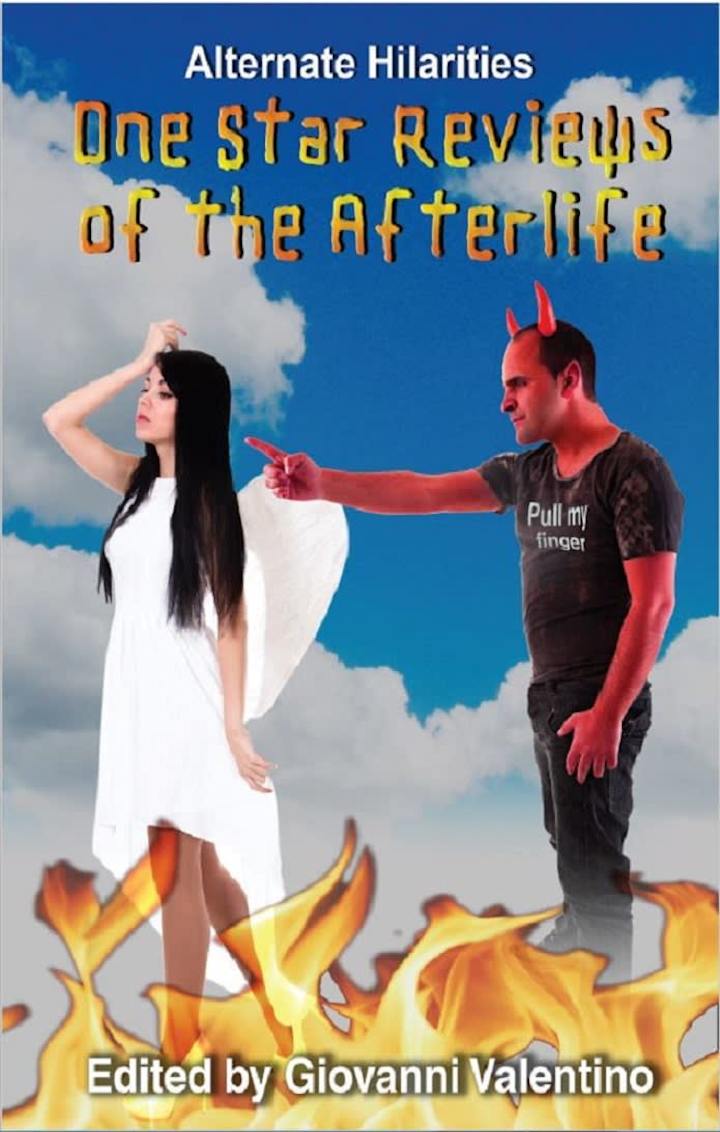 Cover image for One Star Reviews of The Afterlife
