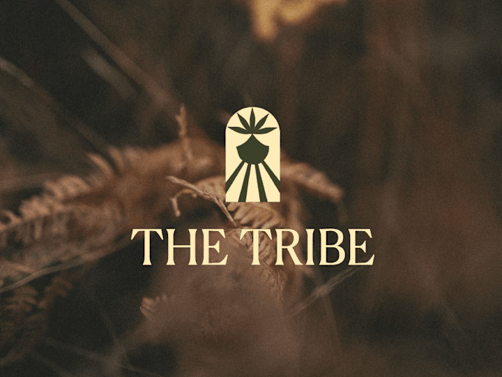 Cover image for Brand Visual Identity