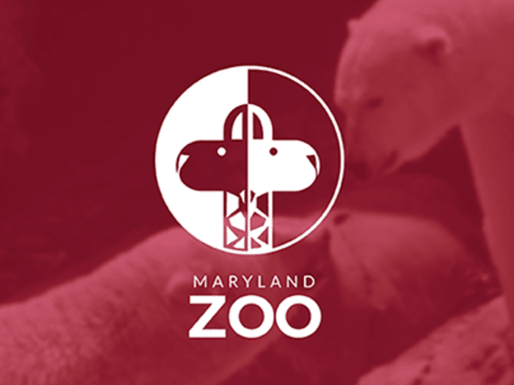 Cover image for Maryland Zoo Redesign Project