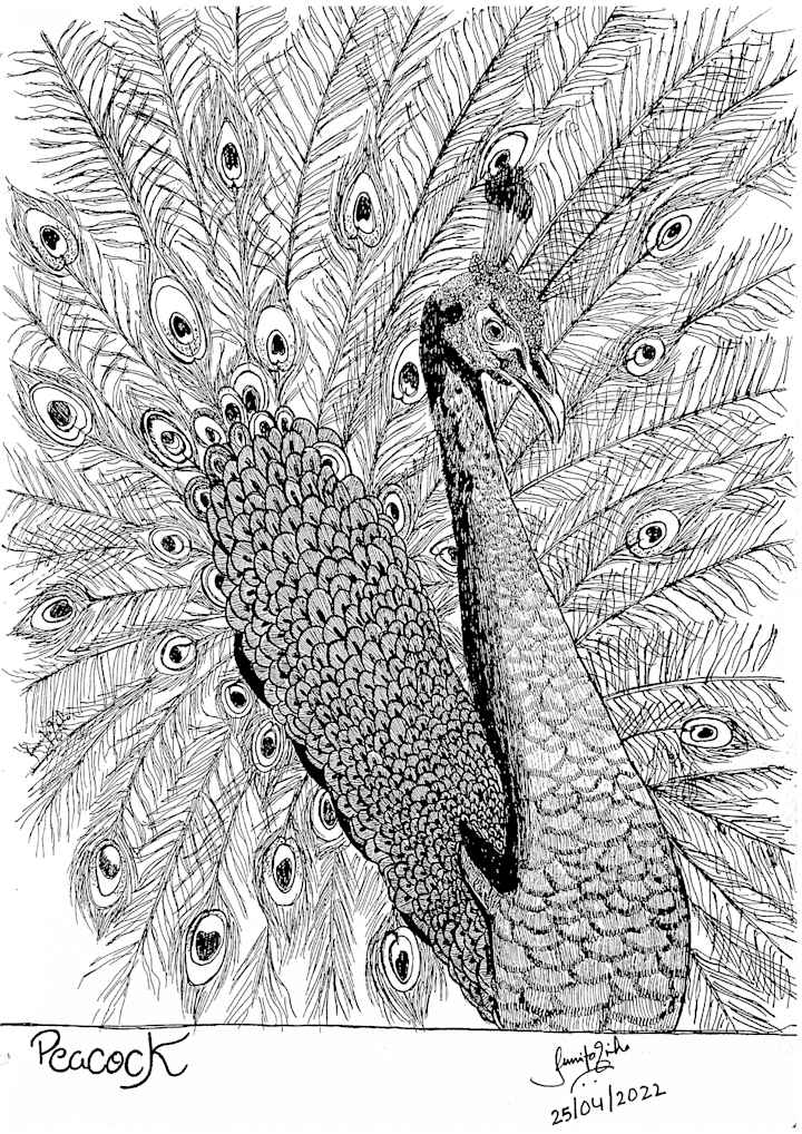 Cover image for Animal and Plant Sketch in Pen