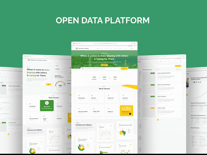 Cover image for Open Data Platform