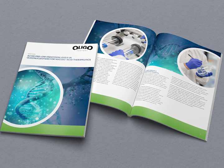 Cover image for Marketing Collateral Design and Layout