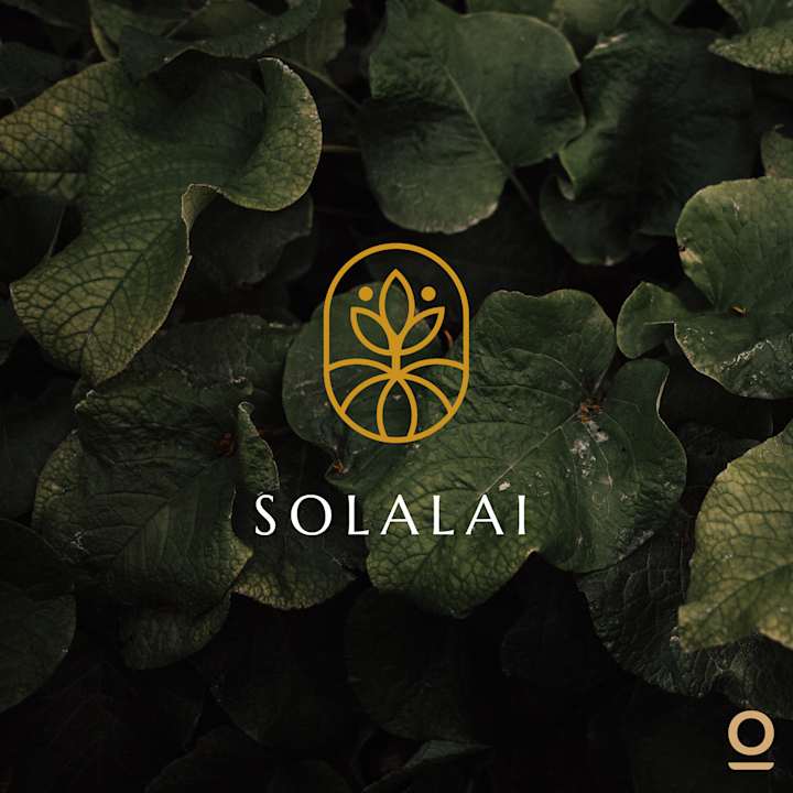 Cover image for Solalai Logo Design