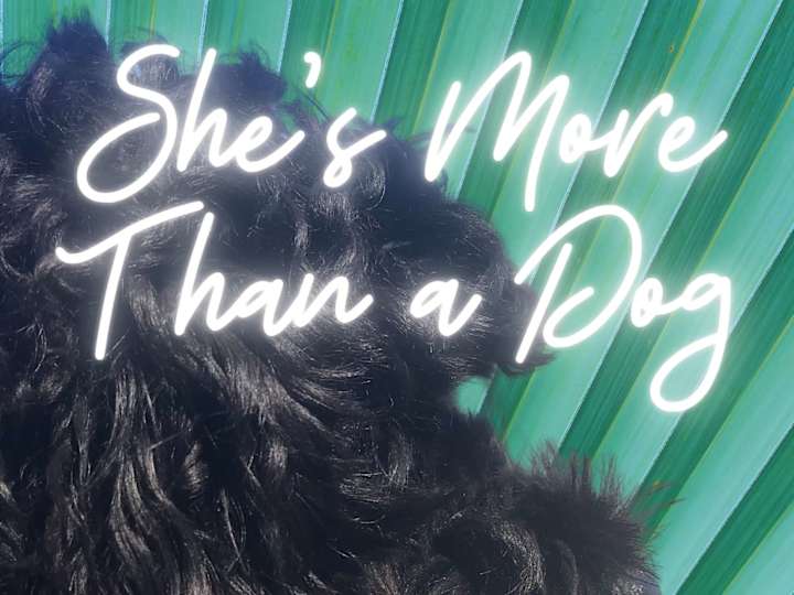 Cover image for She's More Than a Dog: How Unconditional Love Replaced 3 Pills a