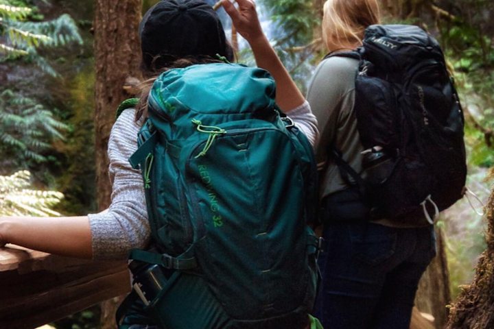 Cover image for Photos in The Wild