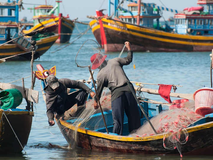 Cover image for Asian Seafood Improvement Collaborative