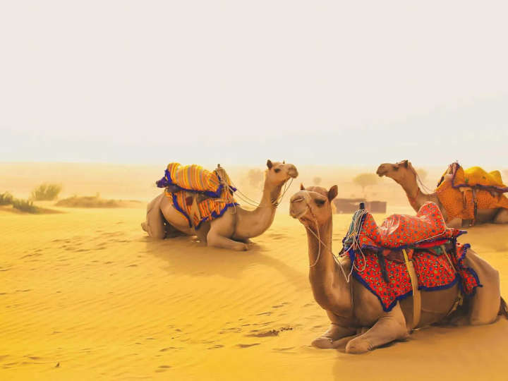 Cover image for Taxi service in Jaisalmer