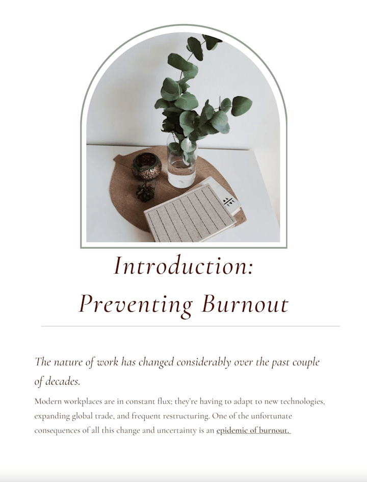 Cover image for Preventing Burnout - eBook