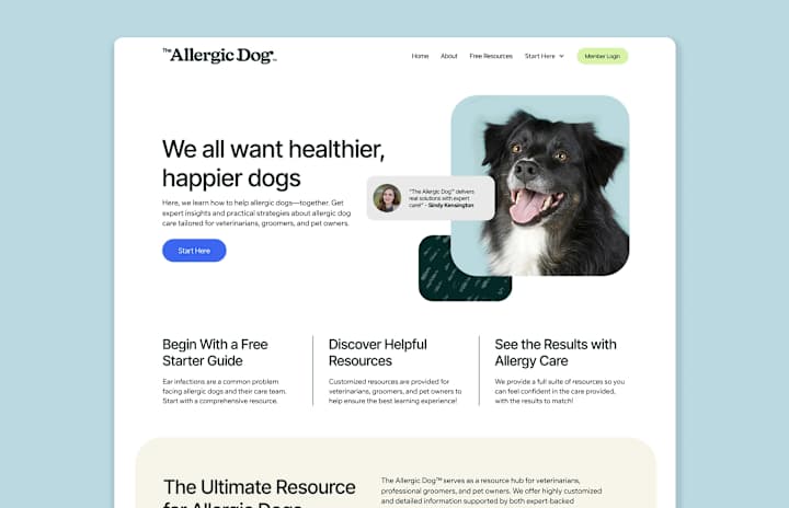 Cover image for The Allergic Dog | Branding + Kajabi Web Design