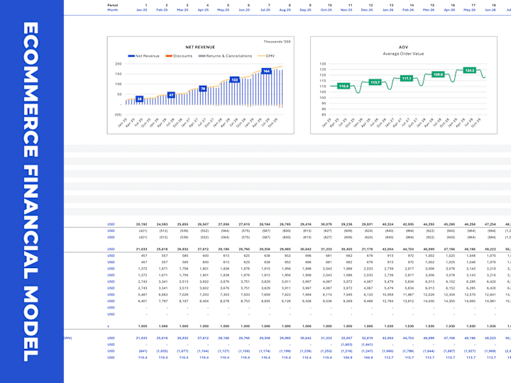 Cover image for Custom-Made Ecommerce Financial Model