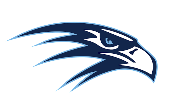 Cover image for Custom Logo