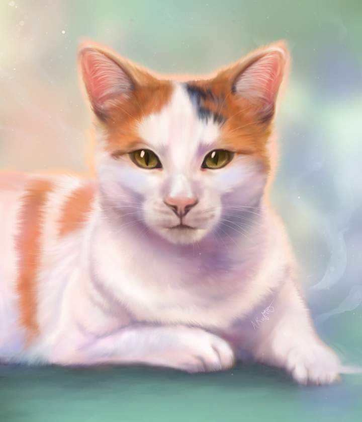 Cover image for Pet Portrait Commissions