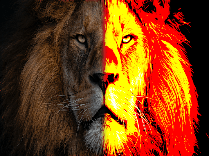 Cover image for Illustration Effect