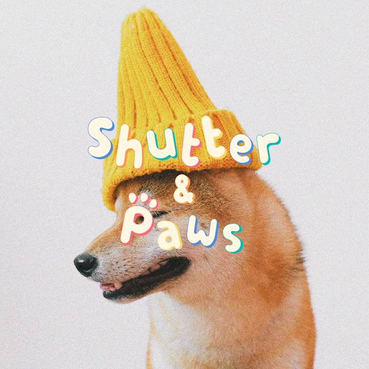 Cover image for Brand Identity for Shutter & Paws - a pet photography studio