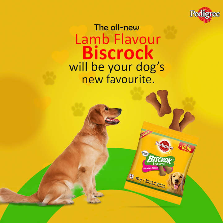 Cover image for PEDIGREE | Behance