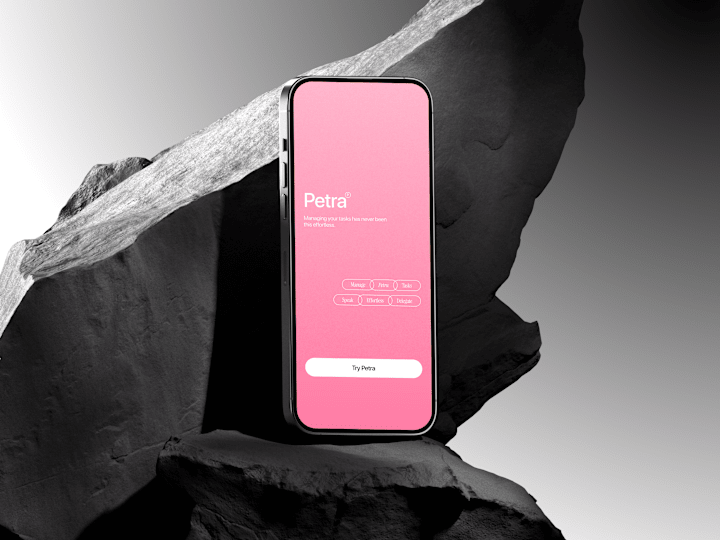 Cover image for Petra