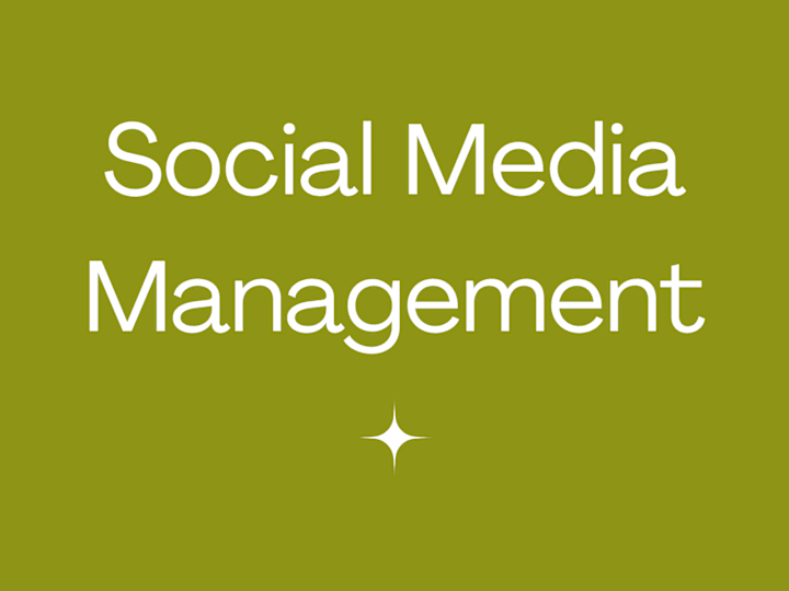 Cover image for Social Media/Brand Audit