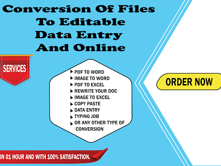 Cover image for I will do dataentry,convert, image to word, PDF to word, rewrite