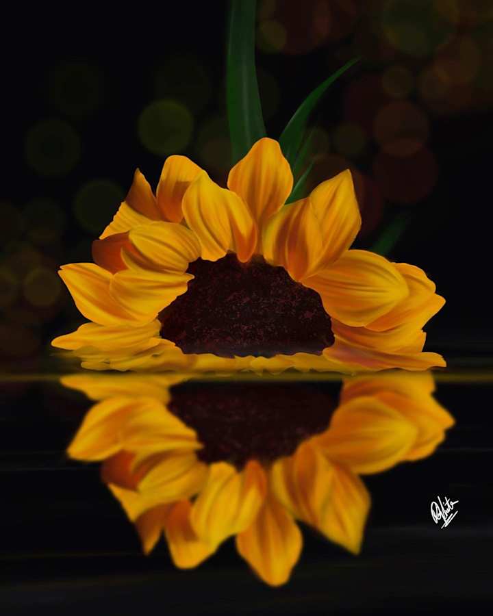 Cover image for The sunflower 
