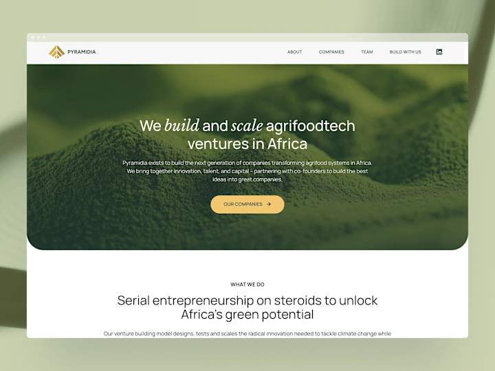 Cover image for Pyramidia Ventures Website Redesign
