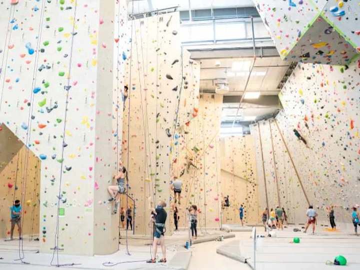 Cover image for The 5 Best Climbing Gyms in Denver (2022 Guide)