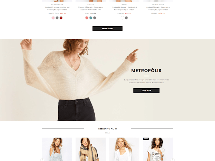 Cover image for Shopify Ecommerce Store  Ella - Multipurpose Shopify Theme 