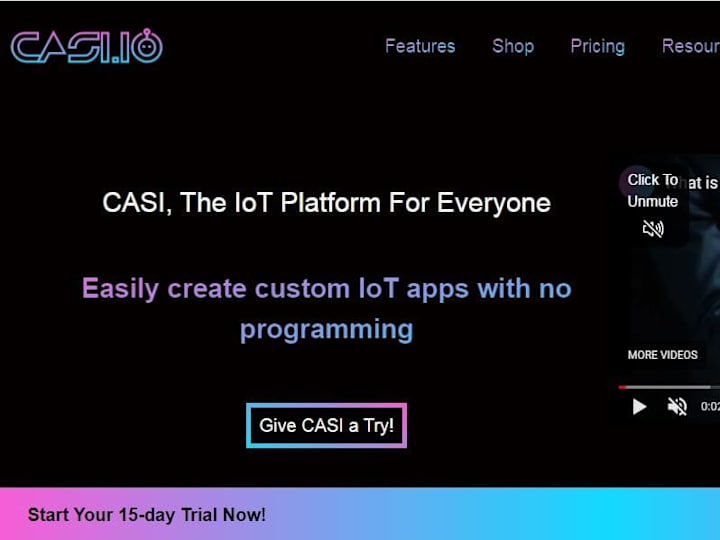Cover image for CASI
