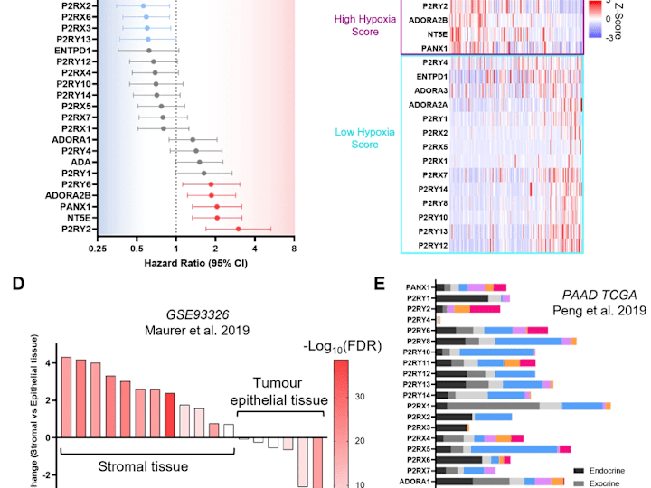 Cover image for Complete Cancer Target Characterisation with Public Datasets