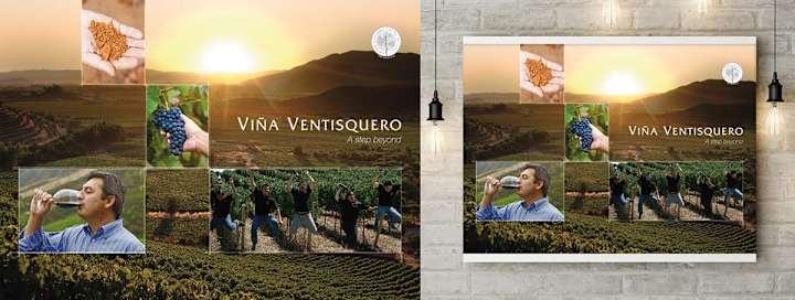 Cover image for Viña Ventisquero