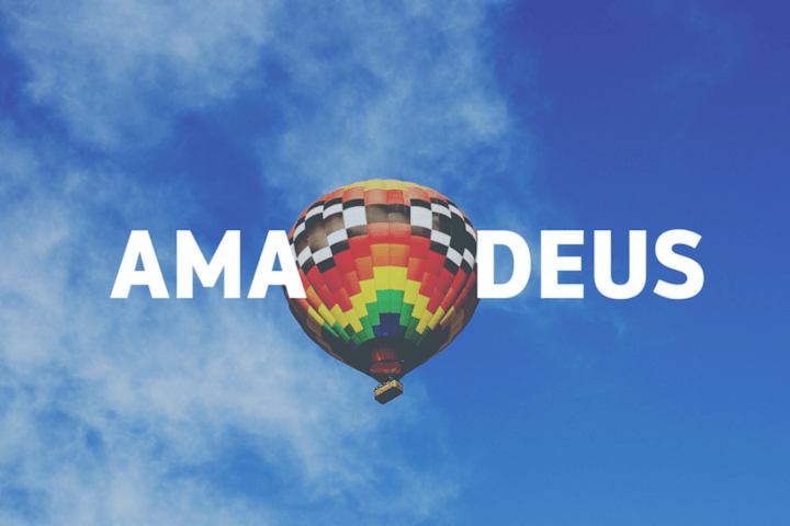Cover image for Amadeus IT Group