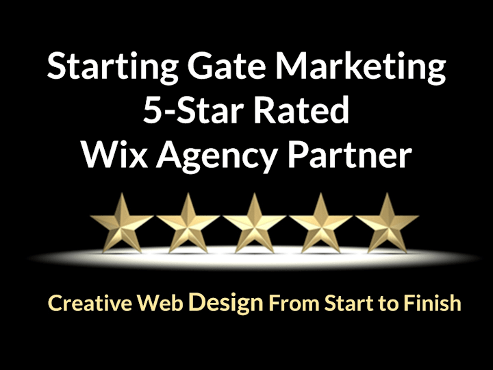 Cover image for Certified Wix Studio Web Design  & Top 10 Rated Wix Agency