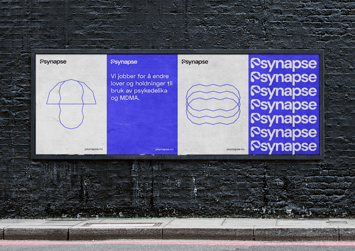 Cover image for Psynapse: Brand and Website