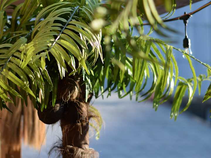Cover image for Social Media Photoshoot for the Beach Bar