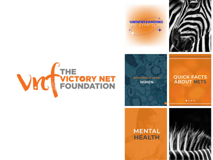 Cover image for Victory Net Foundation 