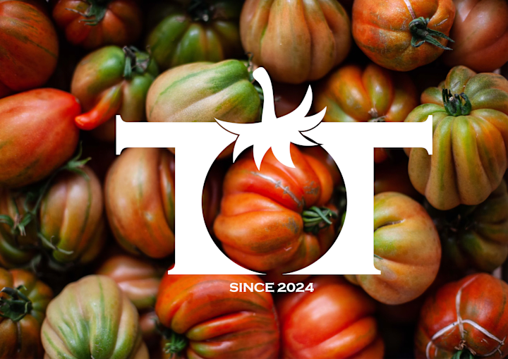 Cover image for TOMATO TALK | Logo & Visual Identity 