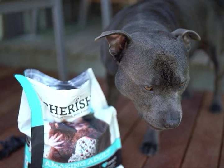 Cover image for Cherish Pet Food Available At PetStock - YouTube