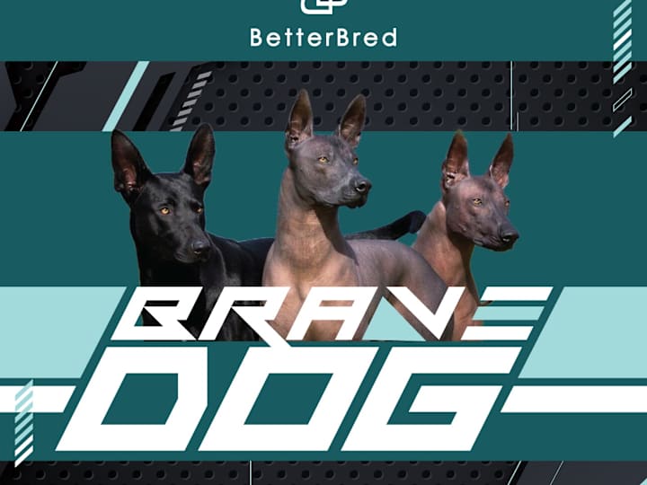 Cover image for BetterBred 