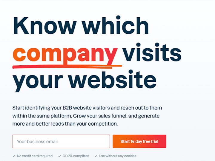 Cover image for Leadinfo website copy