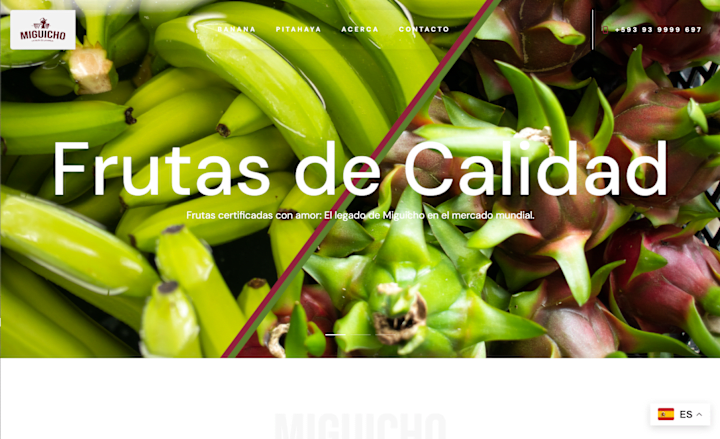 Cover image for Miguicho Web