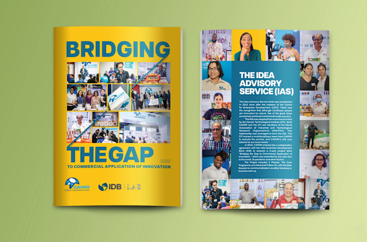 Cover image for Bridging the Gap Innovation Magazine