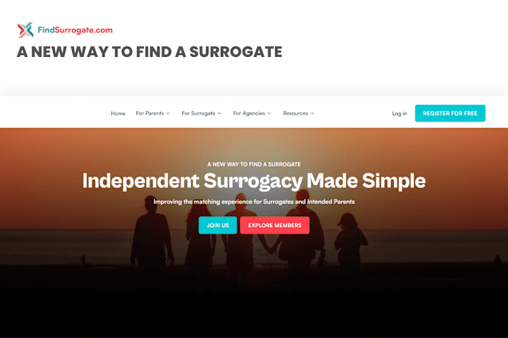 Cover image for FIND SURROGATE