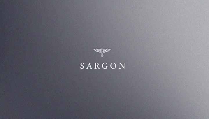 Cover image for Sargon Company Logo/Branding Design