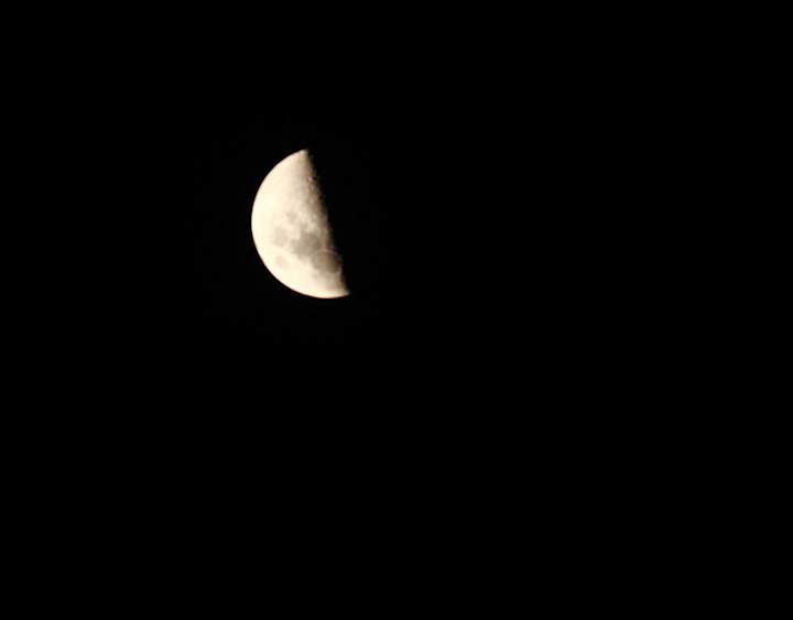 Cover image for THE MOON 