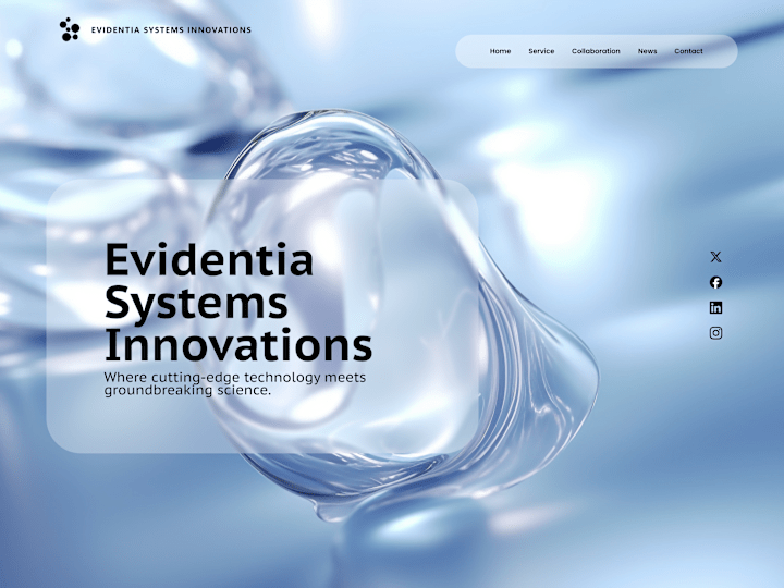 Cover image for Evidentia Systems Innovations